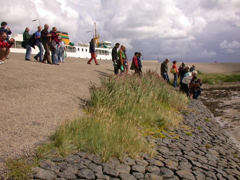 DSCN9021.JPG