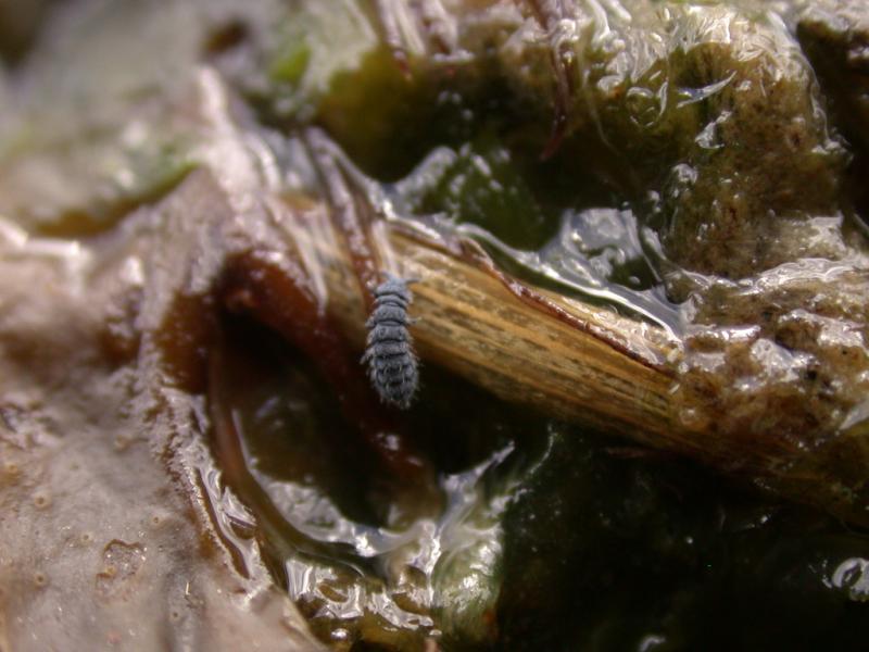DSCN9029.JPG
