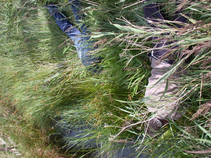 DSCN9060.JPG