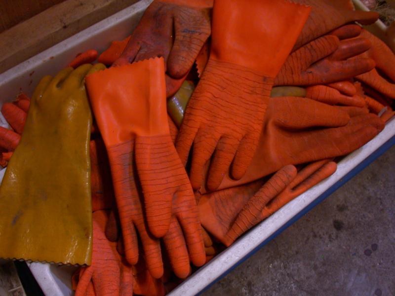 DSCN9137.JPG